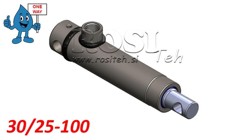 HIDRAULINIS CILINDRAS 30/25-100