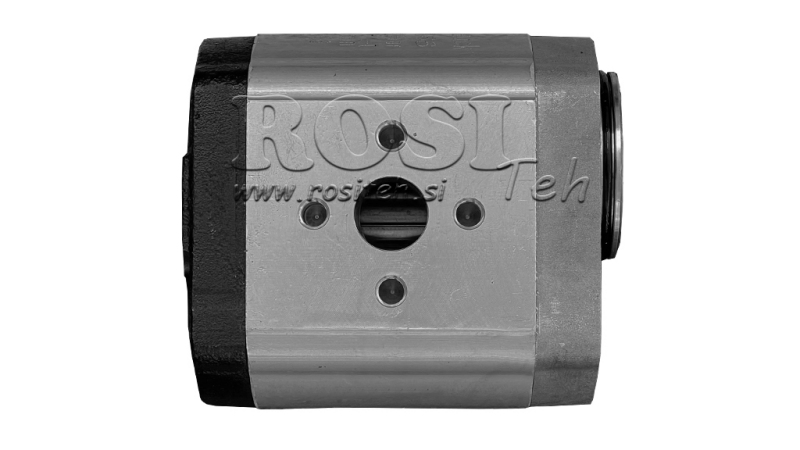 HIDRAULINIS SIURBLYS 20A12X066 GALINIS GR.2 12 CC KAIRĖ