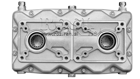 DUBLINIS PAVARŲ DĖŽĖ GR.2/3 -1:2,5 VYRAS