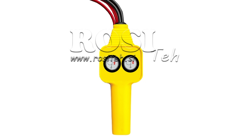 12 V ELEKTRINĖ GERVĖ RS-2500 - 1130 kg - ECO