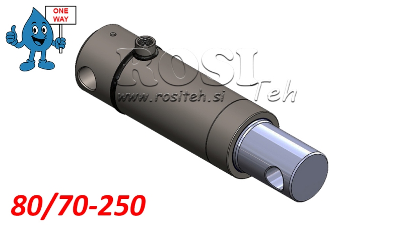 HIDRAULINIS CILINDRAS MONO 80/70-250