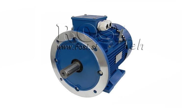MOTORE ELETTRICO 2P B3B5 3F 