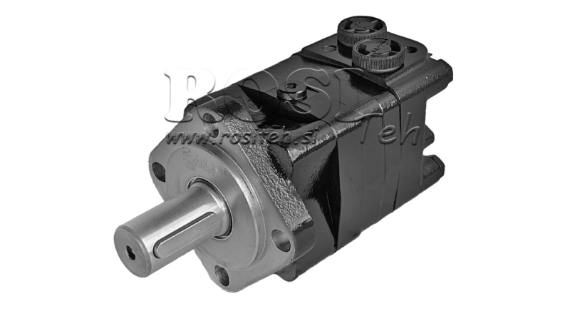 HÜDRAULILINE MOOTOR MS 100 ECO (ALSG3-100)