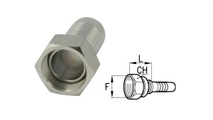 BSP-Moteriski-Sujungimai