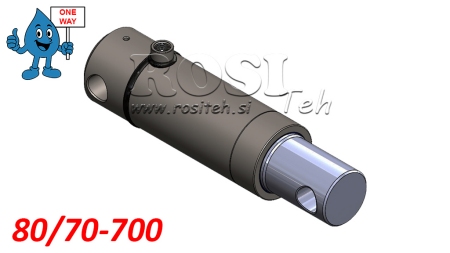 HIDRAULINIS CILINDRAS MONO 80/70-700