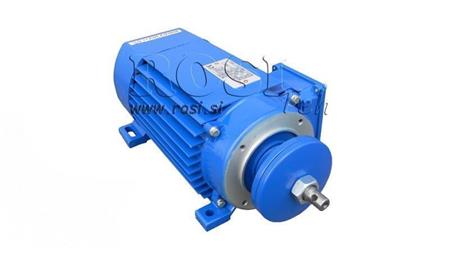 ELEKTRINIS VARIKLIS CIKLINIS 400V-3kW-2820rpm MSC 63 2-2